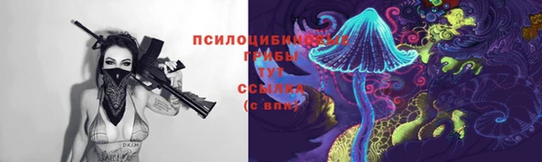 прущие крисы Баксан
