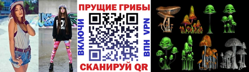 Галлюциногенные грибы Magic Shrooms  Купить  Семёнов 